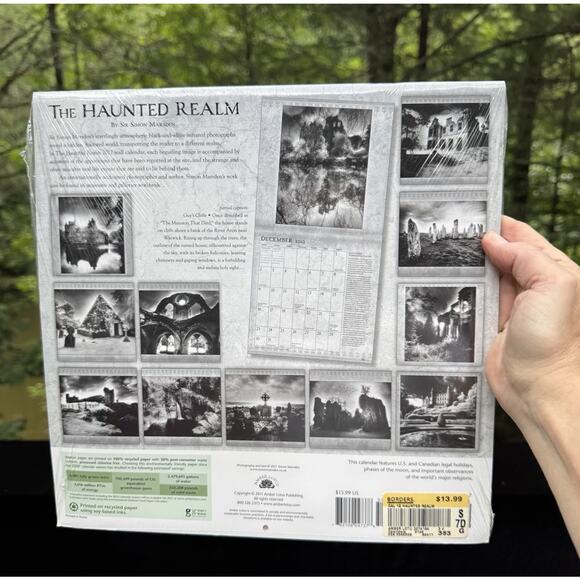 The Haunted Realm 2012 Calendar by Sir Simon Marsden, 12" X 12" New! - Picture 4 of 6